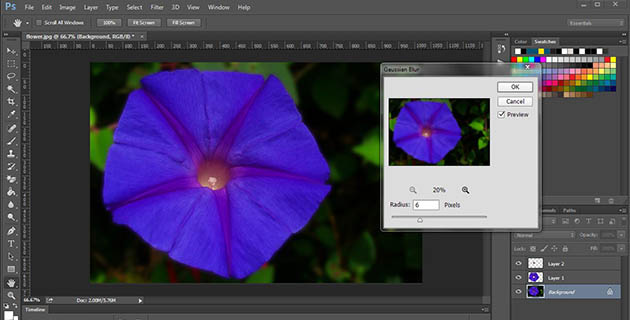 Photoshop Editing of Flower